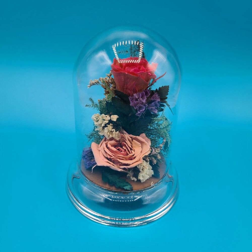 Natural Expressions Floral Keepsake A Real Freeze Dried Rose In Glass Dome